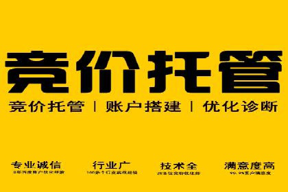某某sem推广公司实战案例：精准投放提升转化率